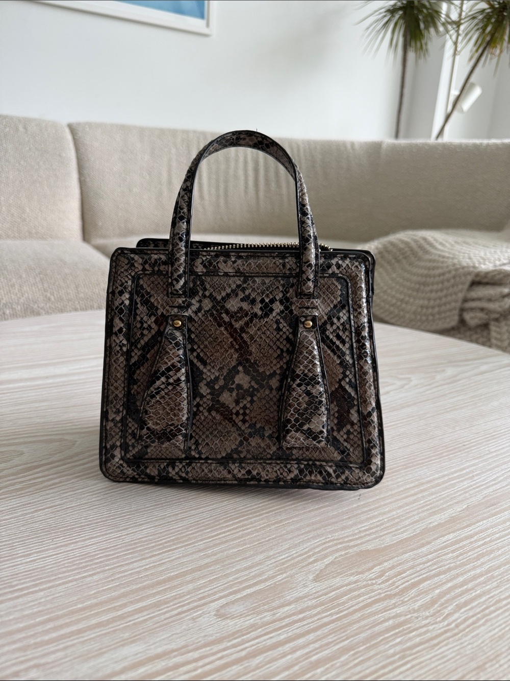 Snake-Embossed Top Handle Satchel in Brown and Black